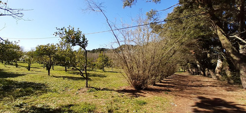 Fraccion De 8.1000 M² Parquizada Y Forestada