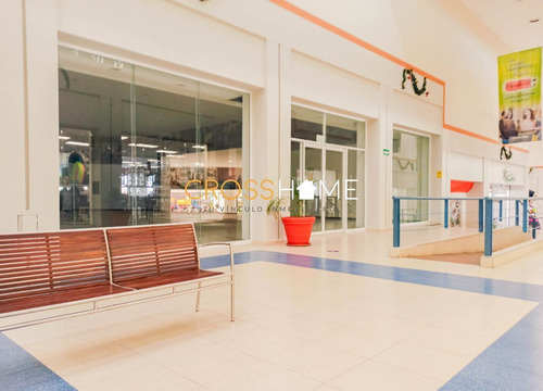 Oportunidad De Local En Renta En Plaza Comercial
