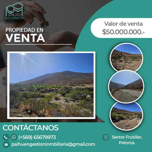 Se Vende Terreno, Sector Frutillar, Comuna De Petorca.