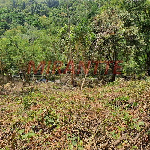 Imagem 2 de 8 de Terreno Em Serra Da Cantareira - São Paulo, Sp - 353703