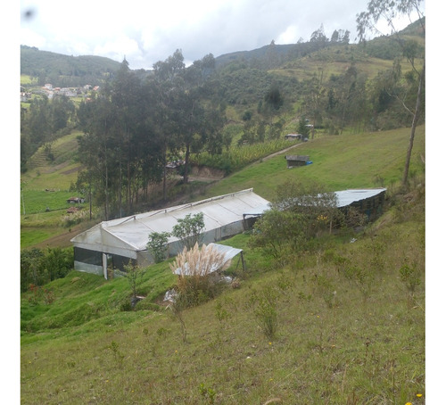 Venta De Terreno, Casa De Campo, Granja, Lote En Hermoso Sector De Cuenca, Punta Corral, Turi