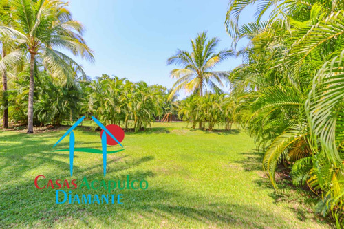 Cad La Isla Java I4. Terraza Con Vista A Los Jardines Y Albercas