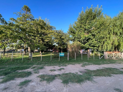 Imagen 4 de 6 de En Venta Fracción De Chacra Sobre Asfalto