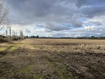 Agrícola en venta