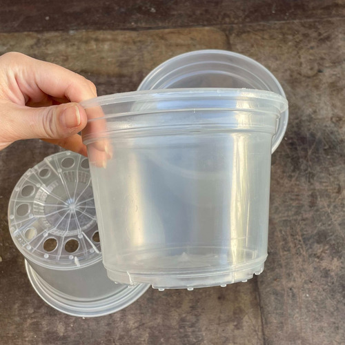 Kit 10 Vasos Transparentes Plástico 14cm P/ Orquídea Adulta