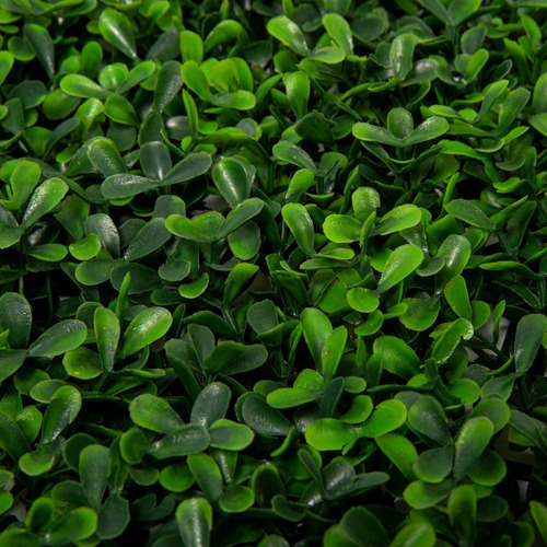 Imagen 5 de 7 de Jardin Vertical Artificial Verde Panel Amsterdam 50x50