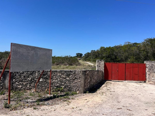 Campeche Champoton, San Fernando Terreno Venta