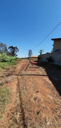 Imagem 4 de 4 de Terreno De 248 Metros Sendo 8 X 31 - Aceita Vaca Leiteira - 11000
