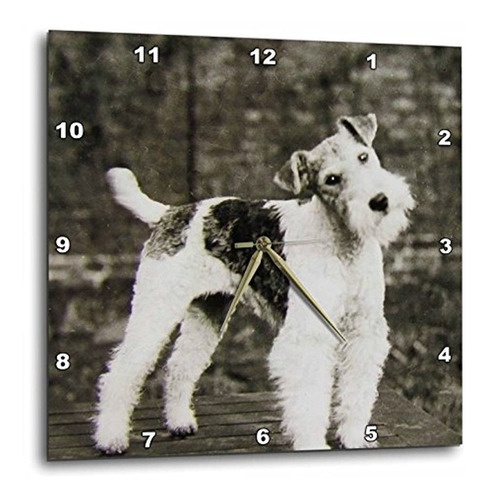 Escenas De La Linterna Mágica  vintage Wire Fox Terrier