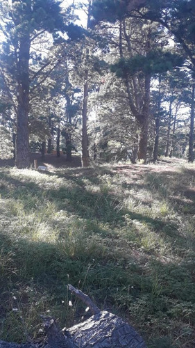 Imagen 3 de 6 de Venta De Estupendo Terreno En Villa Gesell