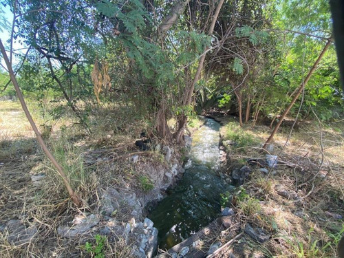 Imagen 4 de 5 de Terreno En Venta En Pesqueria