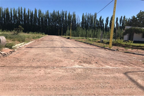 Imagen 15 de 30 de Terreno La Consuelo 499 Mts