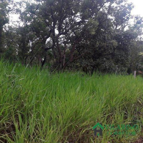 Imagem 8 de 13 de Lote Na Ilha Do Mangabal Represa De Três Marias - 2906