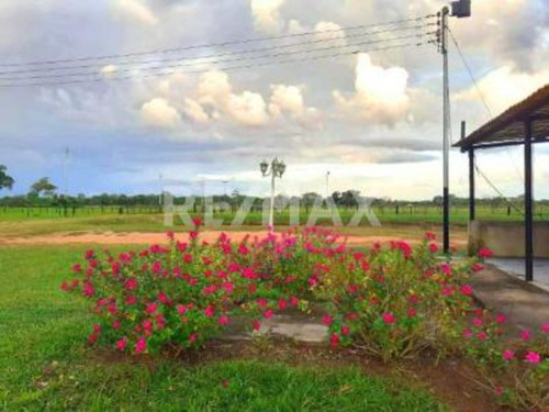 Imagen 13 de 15 de Finca En Venta Vía El Sur. Maturín (1)