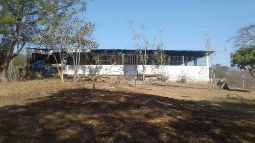 Imagen 2 de 14 de Finca Productiva Para Cria De Porcinos En Parapara De Ortiz