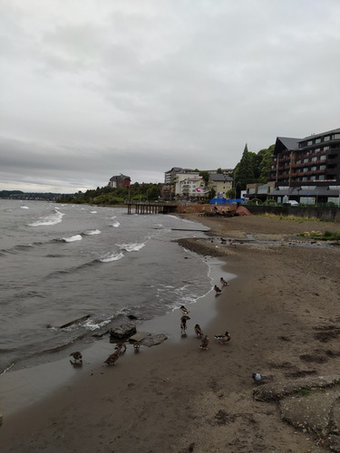 Parcela Frutillar En Condominio Cerrado (5.000 Mts2)
