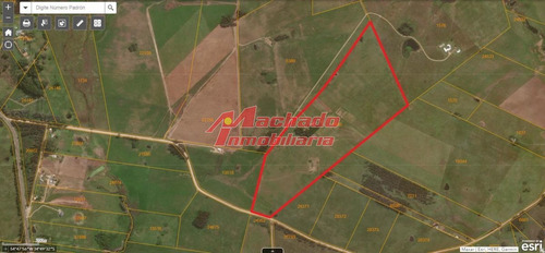 Imagen 8 de 29 de Chacra En Venta