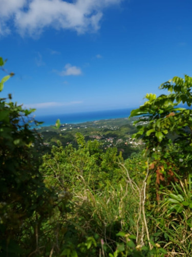 Se Vende Terreno En Las Terrenas