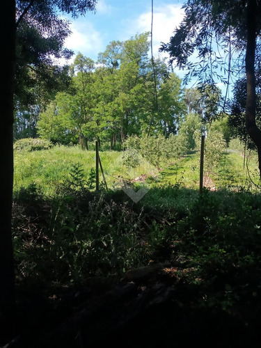 Agrícola En Venta En Linares