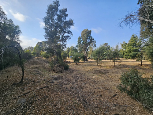 Vendo Sitio De 5580 M2 En Queronque Los Laureles Limache.