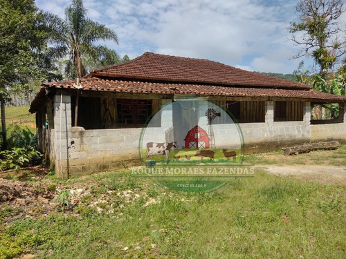 Imagem 5 de 28 de Fazenda À Venda No Vale Do Ribeira Sp Medindo 87,5 Alqueires Paulista Ref0978