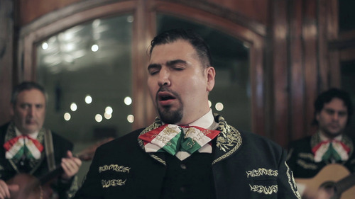 Mariachi Puro Jalisco/serenatas/dia De La Madre/del Amigo