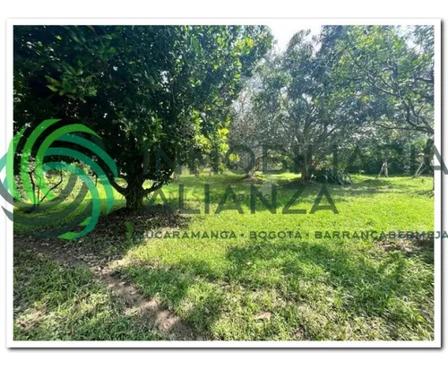 Lote En Venta En Vereda Los Cauchos. Cod V61225