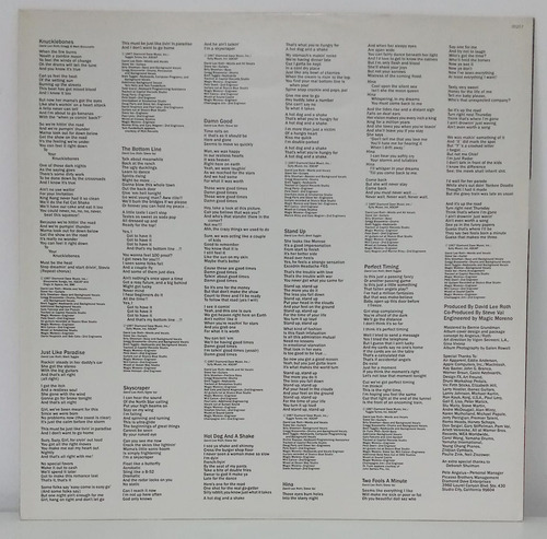Lp David Lee Roth - Skyscraper Standard (Usado)