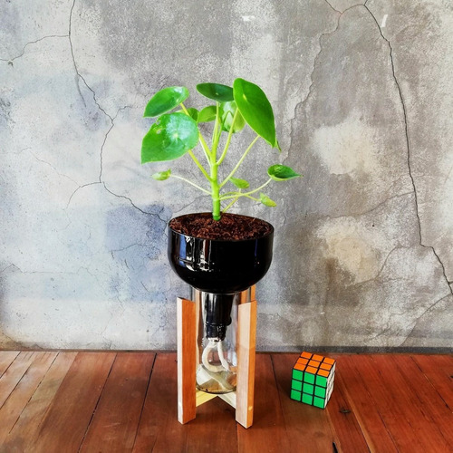 Imagen 4 de 10 de Cuchara Little Plant 27 Con Soporte, Maceta Autorregante