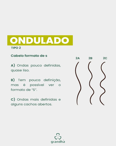 Kit Completo Grandha Vector Force 5 Produtos Cacho E Crespos