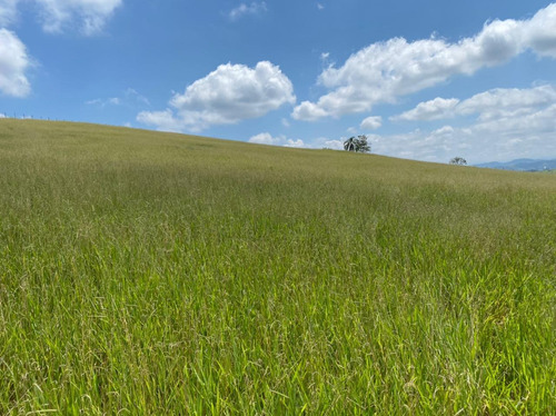 R16- A Venda Em Jacareí,terrenos Plaino