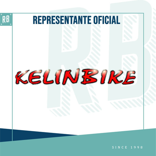 Imagen 3 de 10 de Bicicleta Kelinbike Playera Dama Full Canasto - Racer Bikes