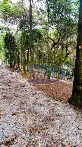 Imagem 16 de 16 de Chácara A Venda No Parque Botujuru - Sbc - 11689