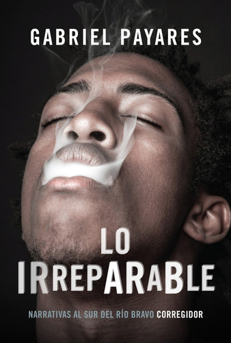 Lo Irreparable - Gabriel Payares, de Payares, Gabriel. Editorial CORREGIDOR, tapa blanda en español, 2013