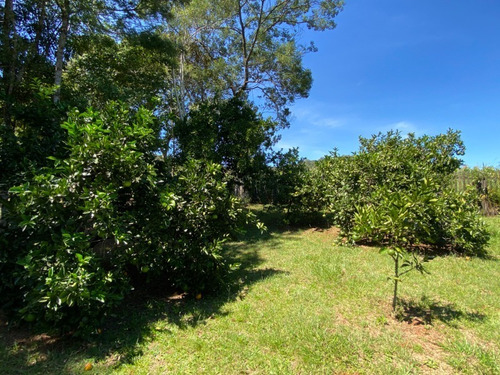 Chácara 4.300 M² - Lomba Grande - Novo Hamburgo - Rs - 2503 - 69237736