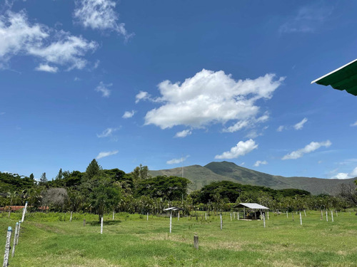 Imagen 20 de 20 de Pieranyela Rodríguez. Finca En Tinaquillo C 1747