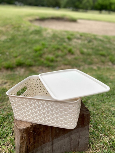 Cesto Canasto Caja Ratan C/ Tapa Juguetes Ropa Chico 25cm