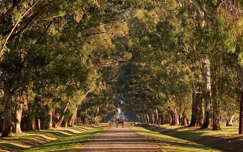 Imagen 23 de 25 de Espectacular Lote Interno De 1.550 Mt2 / Sector Arroyito En Estancia Villa Maria