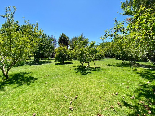 Amplia Casa Con Jardín Formado En Condominio Consolidado