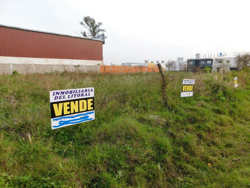 Imagen 9 de 10 de Dos Lotes A 50m De Av. Centenario.