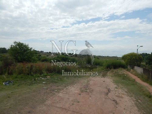 Imagen 3 de 14 de 3 Padrones De Campo Para Inversión!