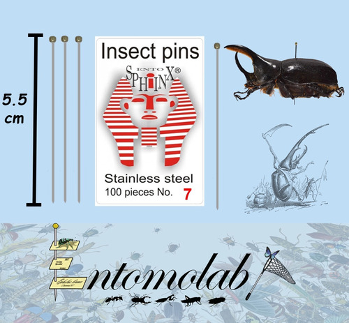 Alfileres Entomologicos Sphinx Inoxidable #7