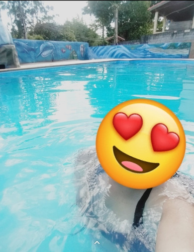 Imagem 8 de 15 de Sítio Com Piscina