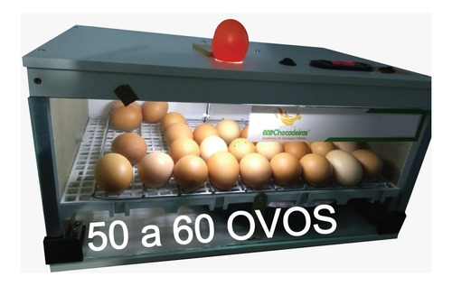 Chocadeira  49ovos Automática Brinde Resistência