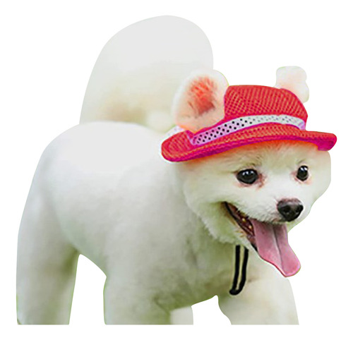 Sombrero For Perro Sombreros For Mascotas Sombrero Redondo