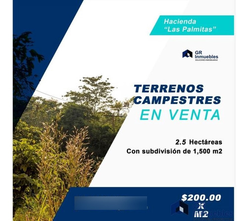 Terreno En Venta En Palmitos (hacienda Palmitos)