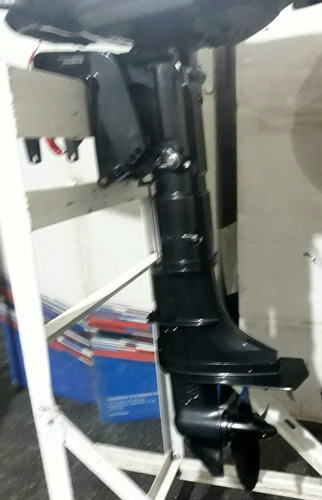 Imagen 10 de 16 de Fuera Borda 6 Hp 4t Powertec Yamaha Mercury No Parsum Hidea