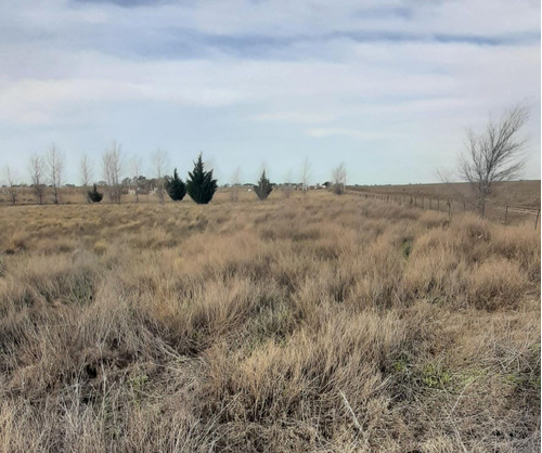 Terreno En Lemú Cuyen - Ataliva Roca - La Pampa