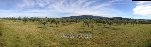Chacras De 5 Has Al Pie Del Cerro Pan De Azúcar.