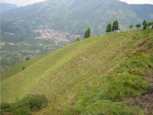 Finca En Vender En Dabeiba